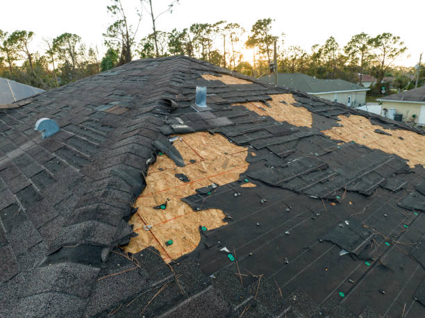 Best Steel Roofing  in Veneta, OR